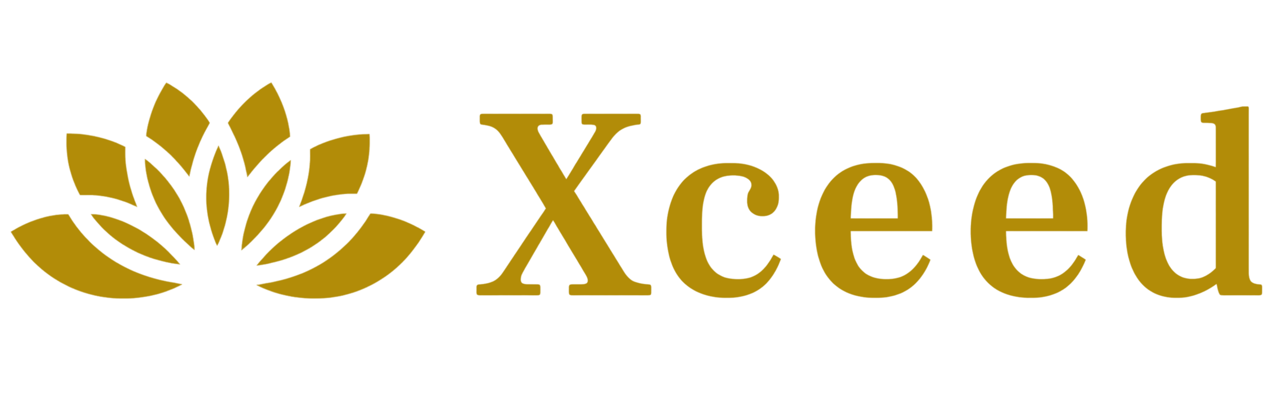 Xceed Concierge Services, Chauffeurservice in München